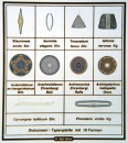 tpf10mikro